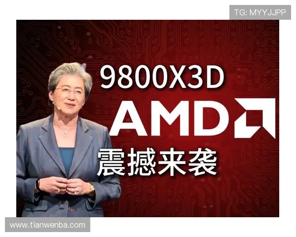 超强性能AMD 9800X3D游戏主机配置与性能分析助你畅玩最新大作